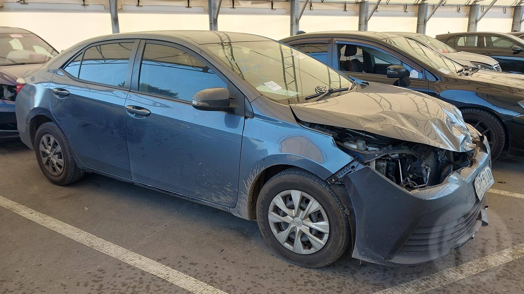 Toyota Corolla Ascent Sedan